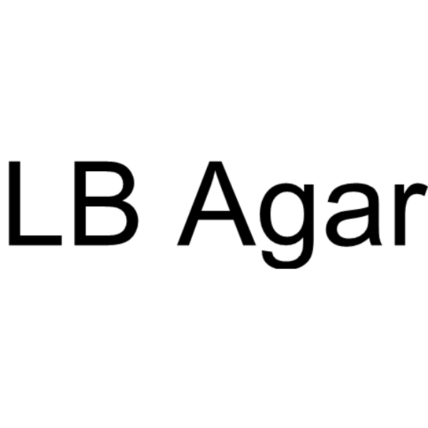 LB Agar
